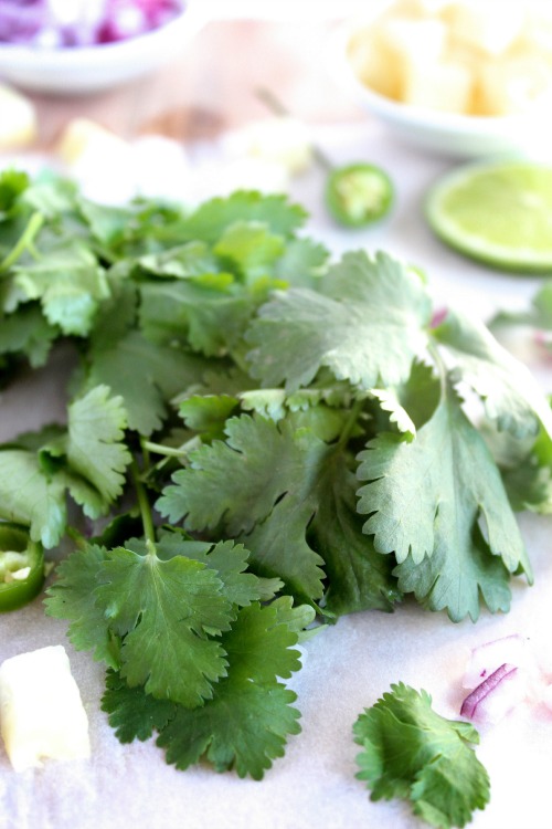 Healthy Homemade Teriyaki Chicken with Sweet and Spicy Pineapple Jalapeno' Salsa {Gluten Free & Paleo Friendly} - www.betterwithcake.com