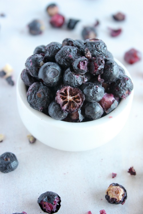 Blueberry Coconut Cream Bliss Bites {Vegan, Dairy Free & Paleo Friendly} - www.betterwithcake.com
