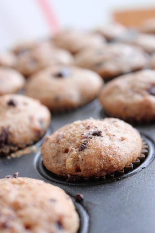 Banana, Brown Sugar and Caramel Choc Chip Wholewheat Mini Muffins
