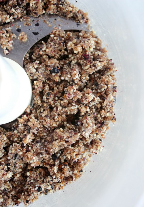 Blueberry Coconut Cream Bliss Bites {Vegan, Dairy Free & Paleo Friendly} - www.betterwithcake.com