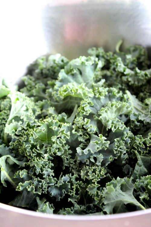 Garlic and Parmesan {Oven Baked} Kale Chips