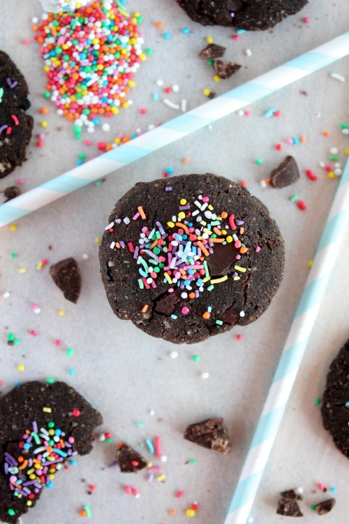 Double Chocolate Chip Cookies {Vegan & Paleo Friendly}