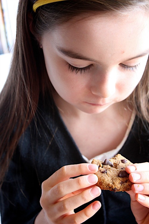 Classic Choc Chip Cookies {Gluten Free, Grain Free & Paleo Friendly} - www.betterwithcake.com