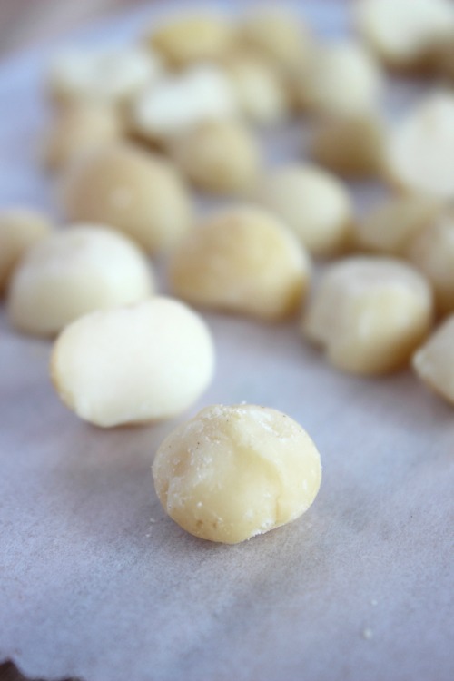 Double Chocolate Macadamia Mini Muffins {Low Carb, Grain Free & Paleo Friendly}