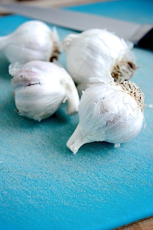 Spicy Sun-dried Tomato and Chargrilled Red Pepper Tuna Burgers {Paleo Friendly}