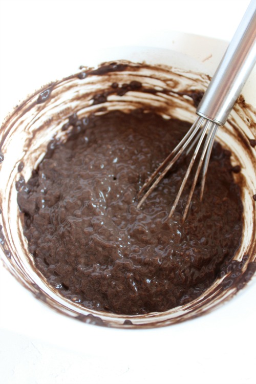 Whipped Chocolate Coconut Chia Pudding {Vegan, Dairy Free & Paleo Friendly}