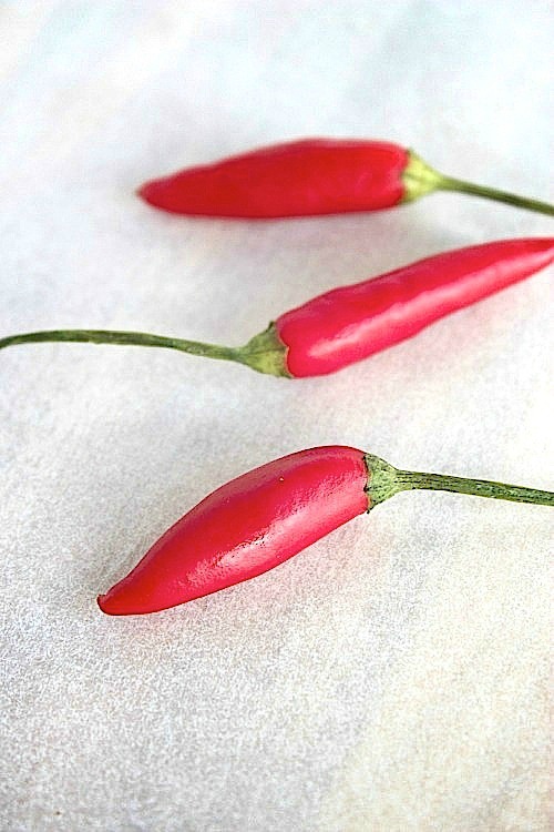 Spicy Sun-dried Tomato and Chargrilled Red Pepper Tuna Burgers {Paleo Friendly}