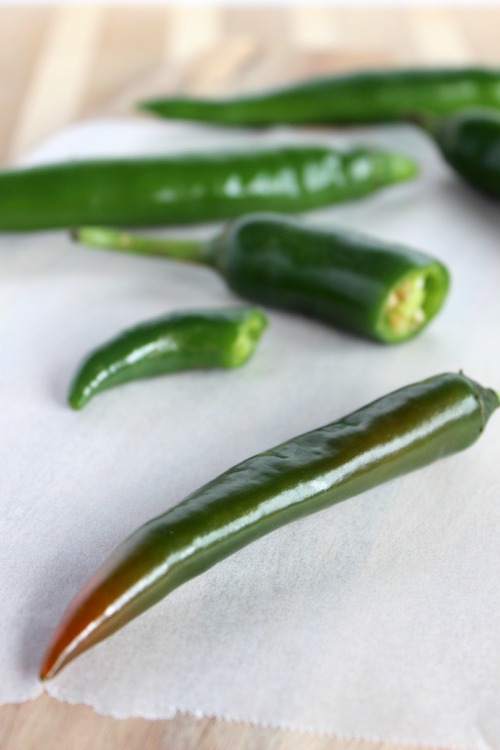 BBQ Chicken Green Chili Loaded Baked Potatoes {Gluten Free & Paleo Friendly} - www.betterwithcake.com