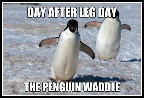 Day after leg day waddle - www.betterwithcake.com