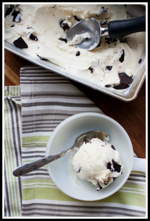 Primal-Mint-Chip-Ice-Cream-21